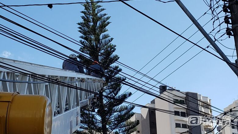 Bombeiros tiveram trabalho para resgatar o gato - Crédito: Colaborador/SCA