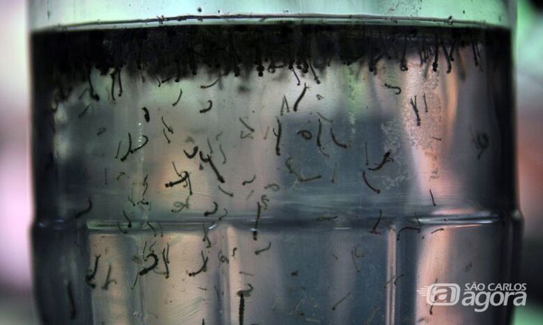 Casos de Dengue assustam o pequeno distrito de Santa Eudóxia - Crédito: Agência Brasil