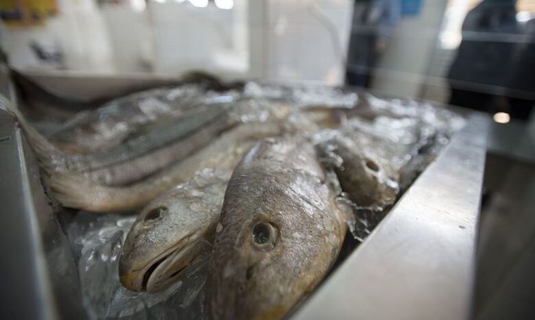 Tradicionalmente o peixe é consumido na Semana Santa - Crédito: Marcelo Camargo/Agência Brasil