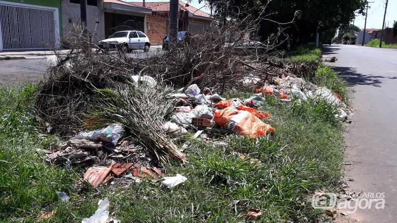 Rocha: “A limpeza urbana reflete nas condições de saúde e desenvolvimento do município” - Crédito: Divulgação