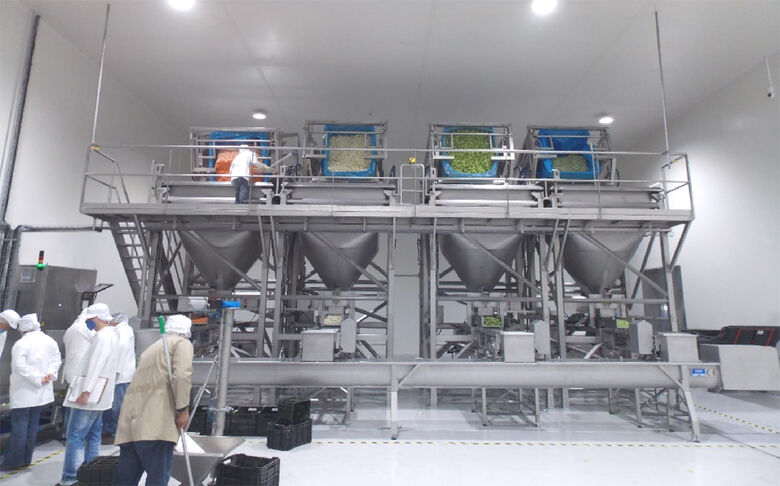 Imagem de um dos setores produtivos da La Hacienda, no México - Crédito: Divulgação