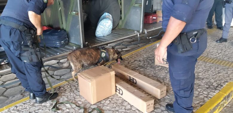 PM e canil da GM realizam operação na rodoviária para combater a criminalidade - Crédito: Divulgação