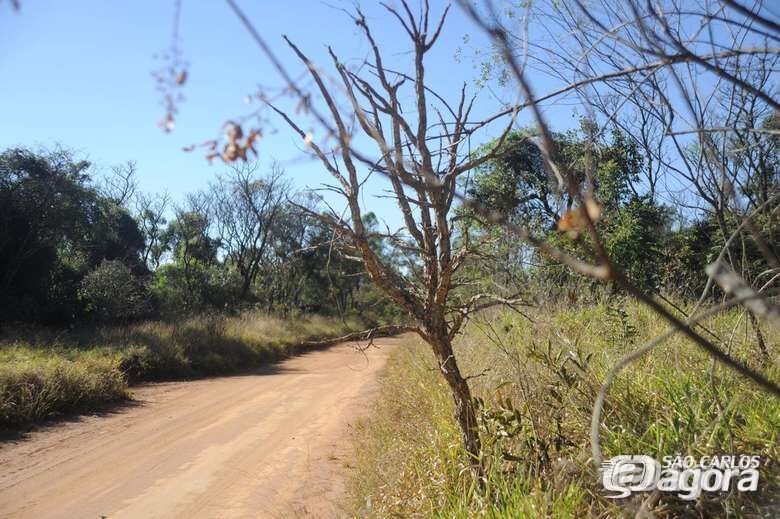 UFSCar suspende atividades de visita ao Cerrado - Crédito: Divulgação