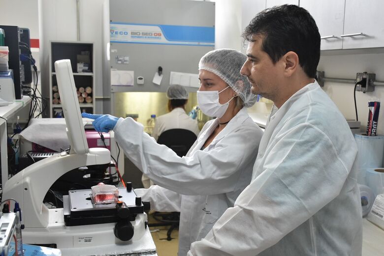 Pesquisadores do IQSC estudam compostos promissores no combate ao câncer - Crédito: Henrique Fontes