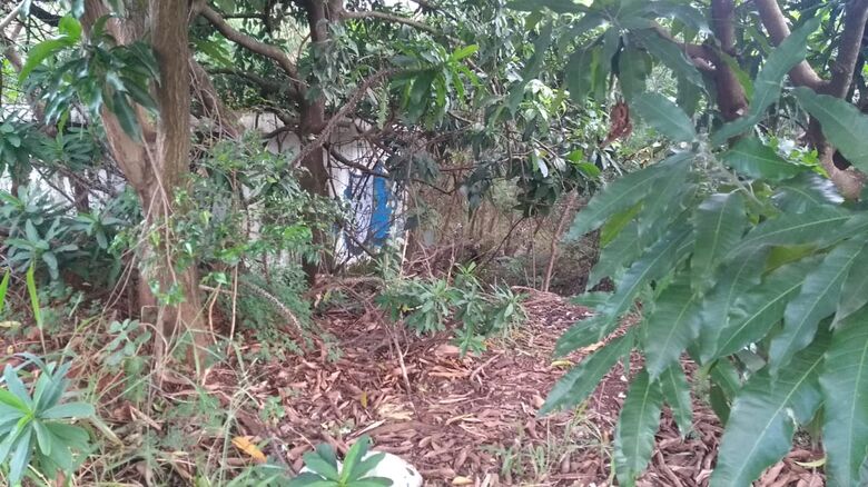 Casa abandonada serve de "atrativo" para moradores de rua - Crédito: Divulgação
