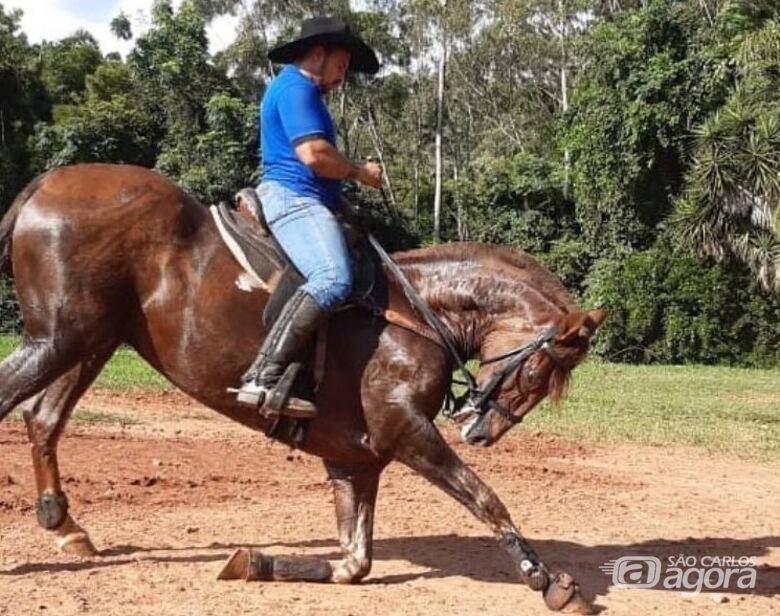 Rancho 100 fronteira adia curso de Doma Internacional - Crédito: Divulgação