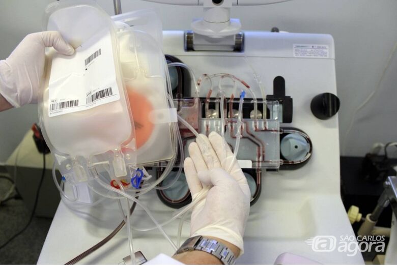 No Hemocentro de Ribeirão Preto, pesquisadores já coletam o plasma de doadores; objetivo é avaliar a eficácia e a segurança da técnica de transferência passiva de imunidade (foto: Divulgação/CTC) - 