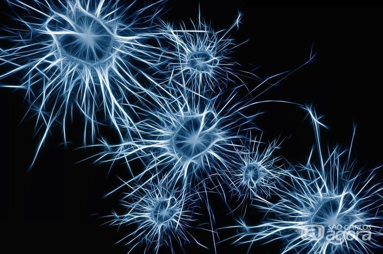 Novo coronavírus é capaz de infectar neurônios humanos, aponta pesquisa realizada na Unicamp - Crédito: Imagem de Gerd Altmann por Pixabay