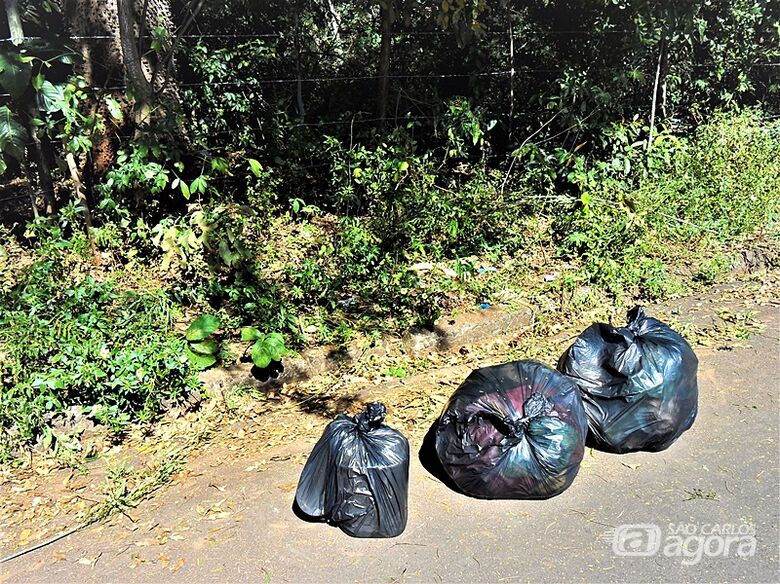 Lixo em sacos plásticos: limpeza nas margens do Córrego Gregório de olho na saúde pública - Crédito: Marcos Escrivani