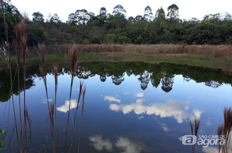 UFSCar recebe inscrições para o III Concurso de Fotografia do Cerrado - Crédito: Trilhas da Natureza/UFSCar