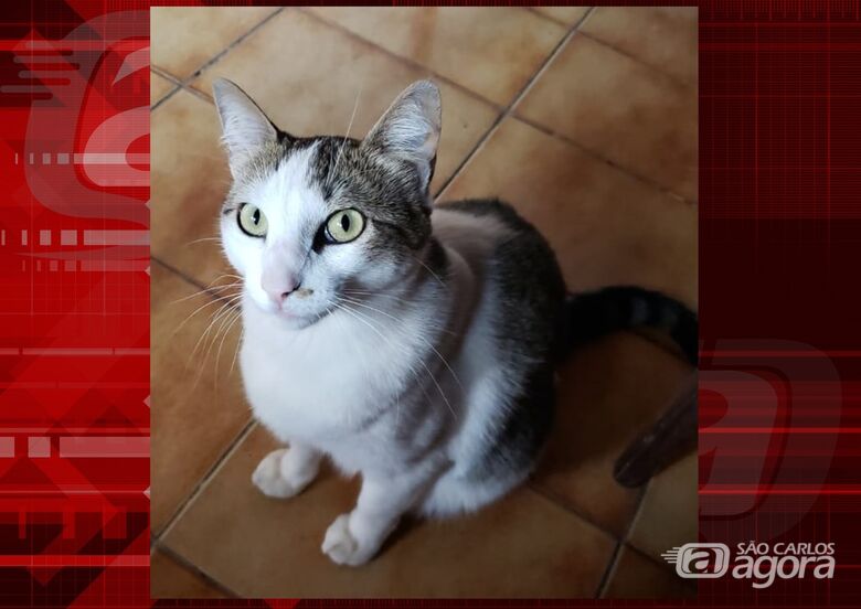 Ajude a encontrar a Magali. Foi vista na região do Fórum Cìvel -