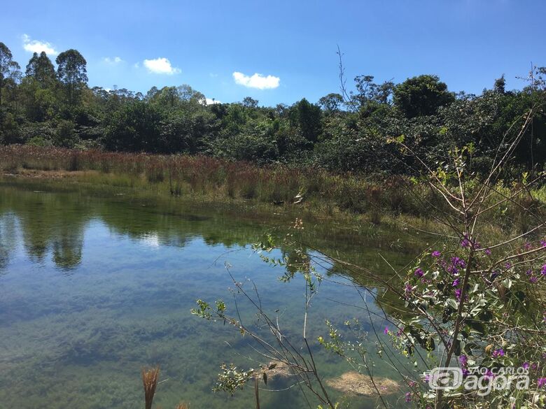 Manutenção e protocolos de segurança preservam Cerrado da UFSCar - Crédito: Divulgação