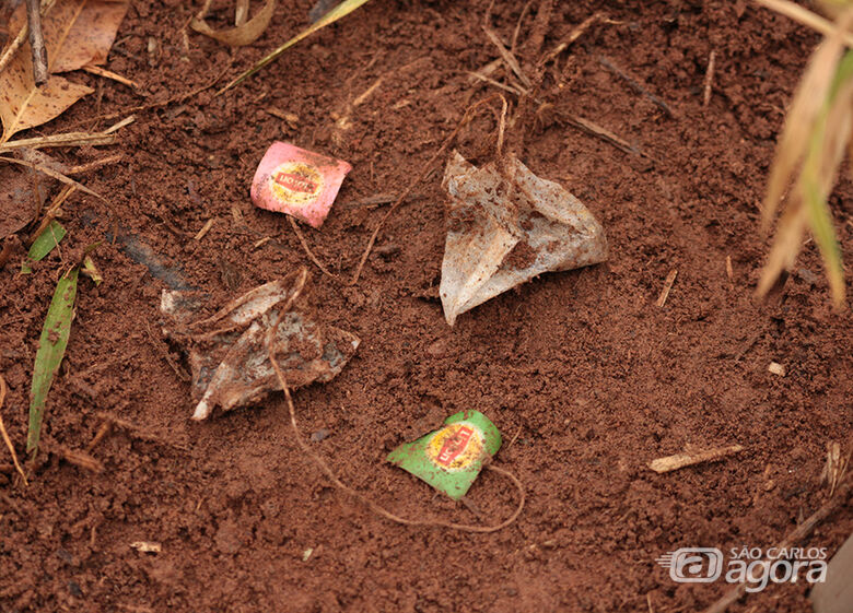 A metodologia holandesa chamada Tea Bag Index (TBI) está sendo usada por cientistas da Embrapa Pecuária Sudeste em parceria com a Universidade Federal de São Carlos (UFSCar) - Crédito: Luiz Paiva