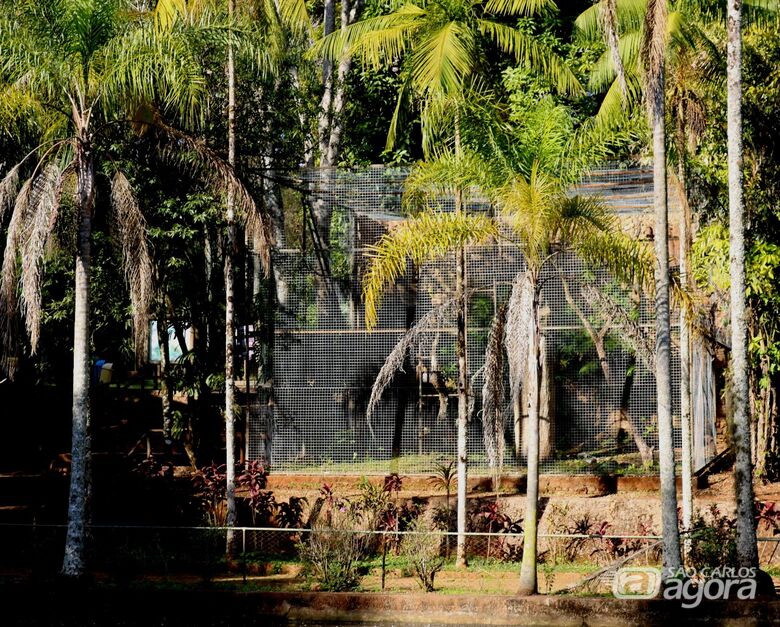 Parque Ecológico ganha novos recintos para macacos amazônicos - Crédito: Divulgação