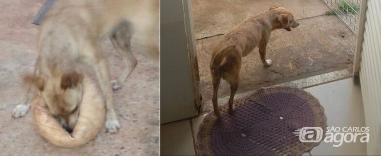 Nina desapareceu no Abdelnur. Ajude a encontrá-la -