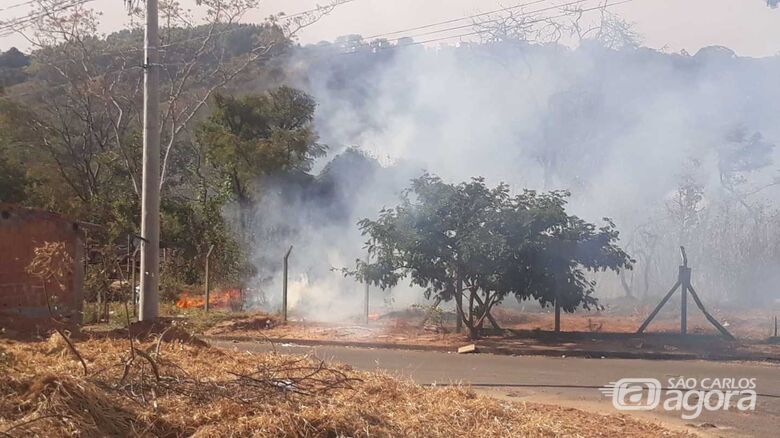 Incêndio em mata assustou moradores - Crédito: Whatssapp SCA