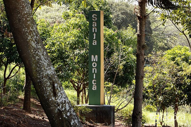 Ação de moradores revitaliza bairro em São Carlos, preserva jardins e reforça a segurança - Crédito: Divulgação