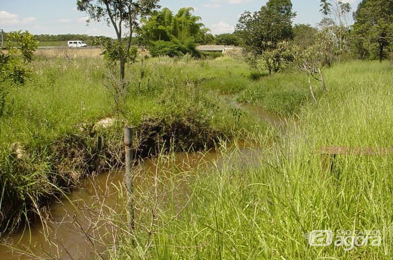 Estudos visam à preservação da bacia do Ribeirão do Feijão - Crédito: Francisco Dupas/UFSCar