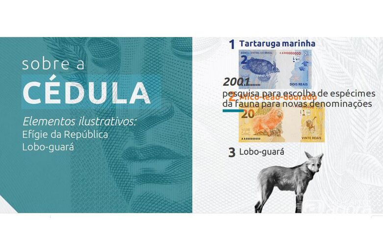 Cédula de R$ 200 entra em circulação hoje - Crédito: © Divulgação/Banco Central