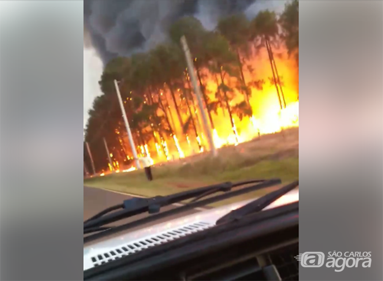 Incêndio em mata assusta usuários de rodovia na região do Broa - Crédito: Reprodução