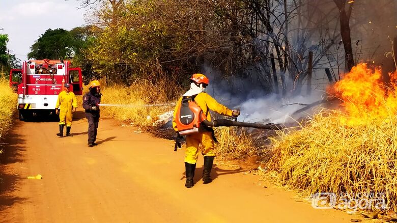 Fogo consome mais de 40 mil metros quadrados de mata na região do Embaré - Crédito: Maycon Maximino