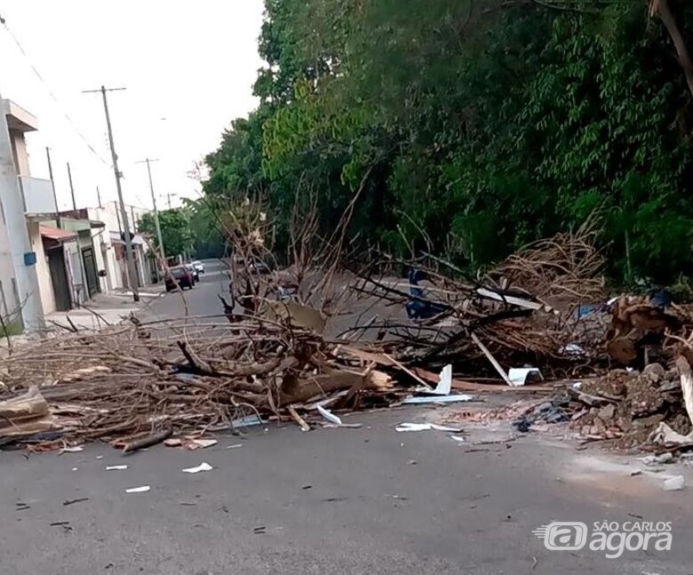 Moradores colocaram galhos de árvores no meio da rua para evitar que bairro seja emporcalhado por pessoas que não possuem higiene - Crédito: Divulgação