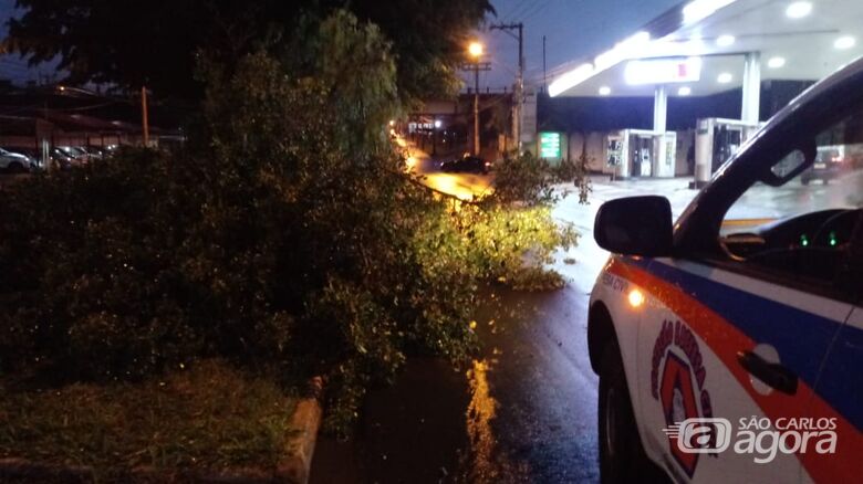 Vento de 154 Km/h atinge São Carlos na tarde deste domingo, diz Defesa Civil - Crédito: Divulgação