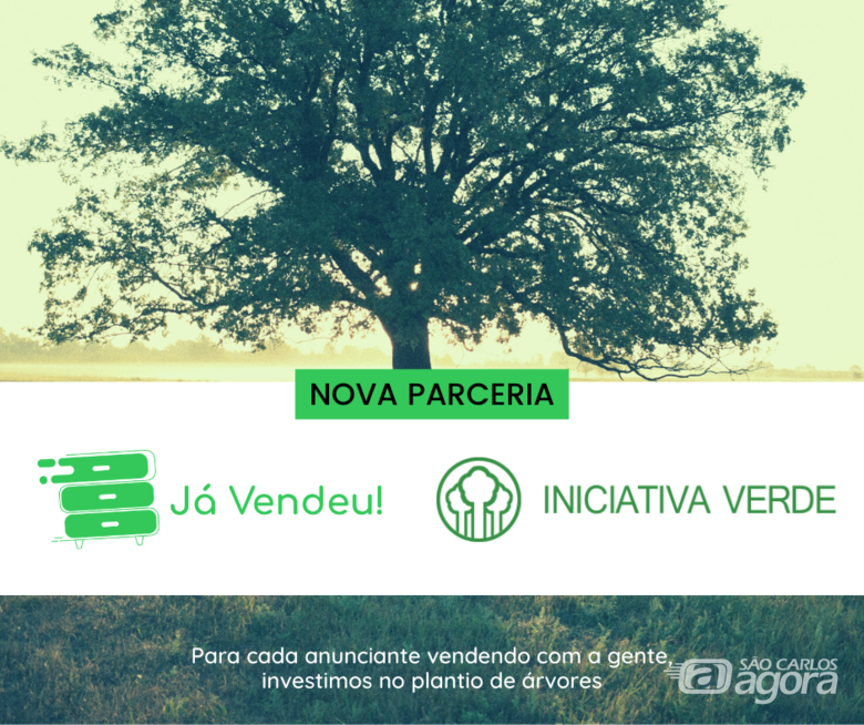 Por cada novo vendedor na plataforma, empresa de venda de mobília usada faz doações para arborização da serra da Mantiqueira - 