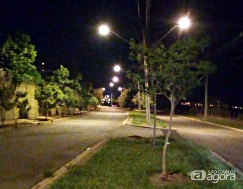 Após reportagem do SCA, CPFL troca lâmpadas queimadas em avenida na região do Swiss Park - Crédito: Divulgação