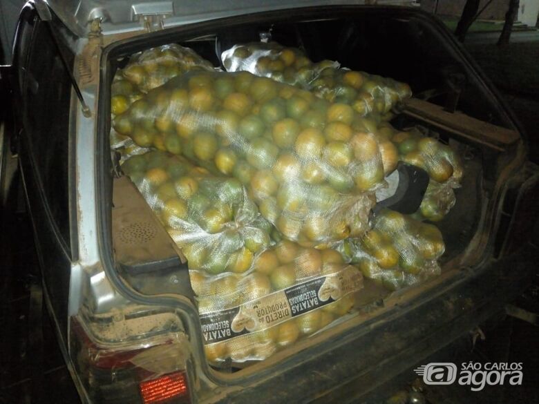 Dupla é detida após furtar 10 sacos de laranjas de fazenda em Ibaté - Crédito: Divulgação