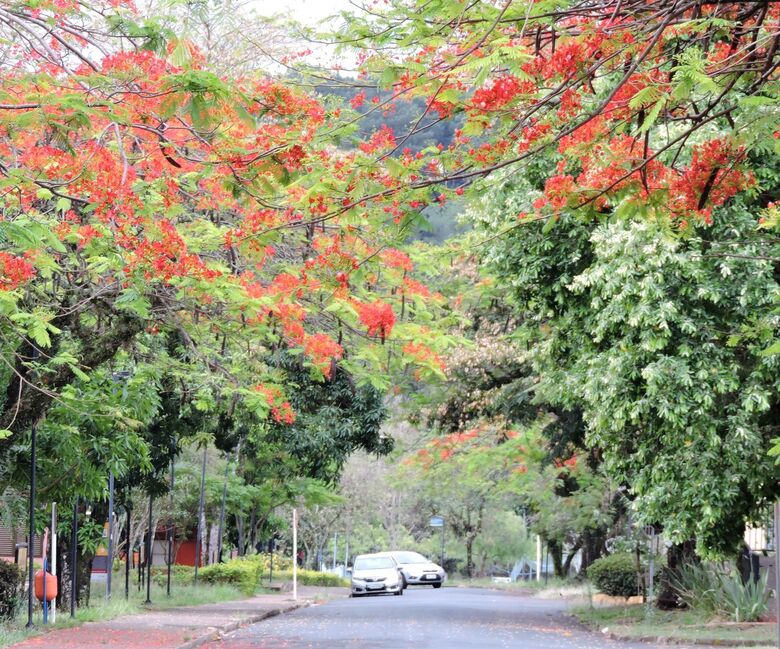 UFSCar deve terminar 2020 com orçamento equilibrado - Crédito: Flávia Salmázio/Reitoria UFSCar