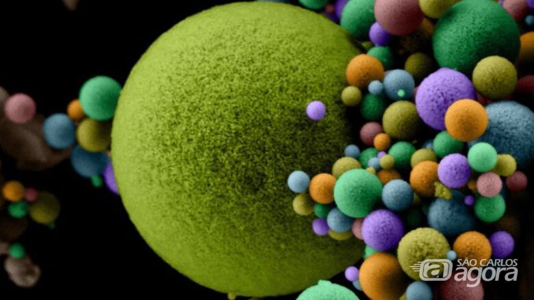 Um dos trabalhos de Ricardo Tranquilin, pesquisador da Universidade Federal de São Carlos. - Crédito: Divulgação