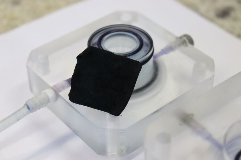 Nas próximas etapas do estudo a membrana será testada para degradar remédios e pesticidas presentes na água - Crédito: Henrique Fontes – IQSC/USP