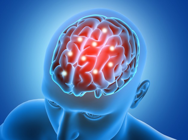 Estudo da UFSCar pretende caracterizar curvas de normalidade da pressão intracraniana - Crédito: Freepik