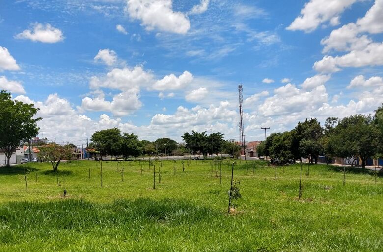 Loteamento Habitacional São Carlos I recebeu o plantio de 100 mudas - Crédito: Celso Rizzo/RCSCP