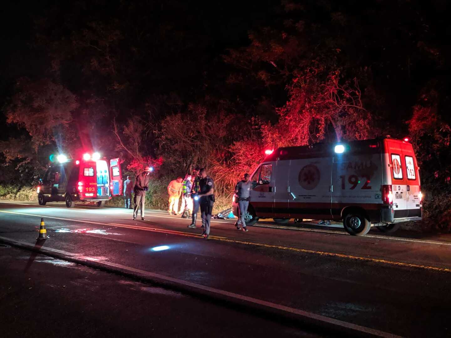 Sagui branco é resgatado ferido após ser atropelado em rodovia no interior  do Acre, Acre