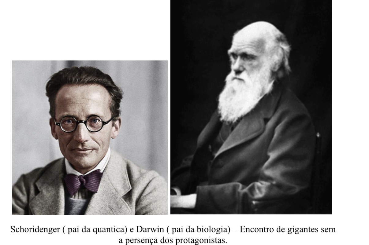 Novas tecnologias quânticas para uma biologia e uma medicina melhores