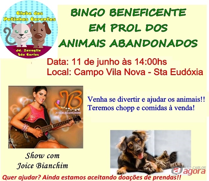 Bingo Beneficente Em Prol Dos Animais Abandonados São Carlos Agora 0679